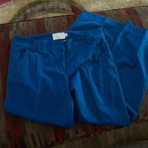 Women’s J.Crew Classic Twill Chino Favorite Fit Pants Size 14R Blue